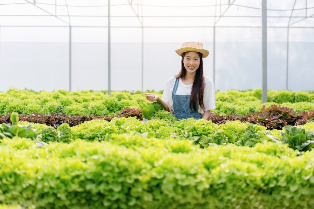 Woman smart farmer working and checking organic hydroponic veget